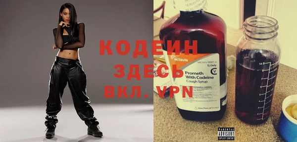 молекула духа Бородино
