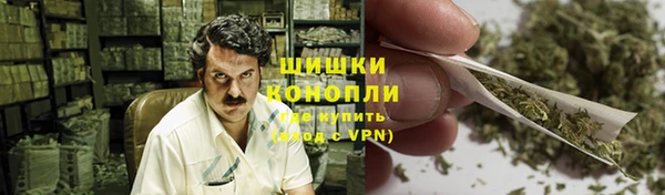 сатива Бугульма