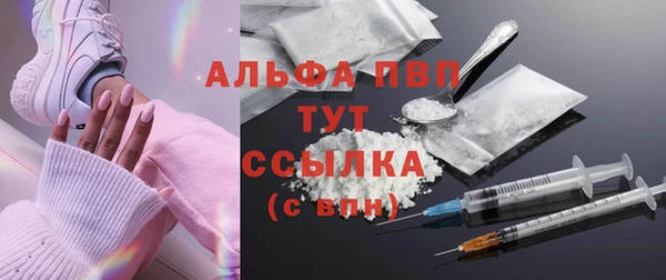 PSILOCYBIN Богданович