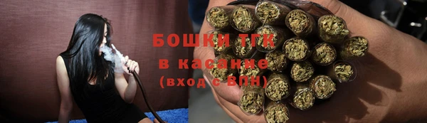 PSILOCYBIN Богданович