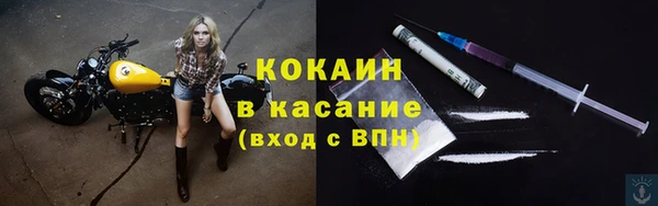 PSILOCYBIN Богданович