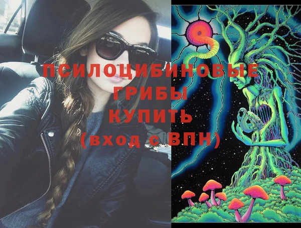 MDMA Богородицк