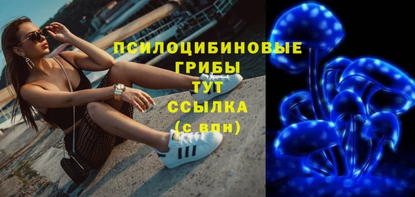 MDMA Богородицк