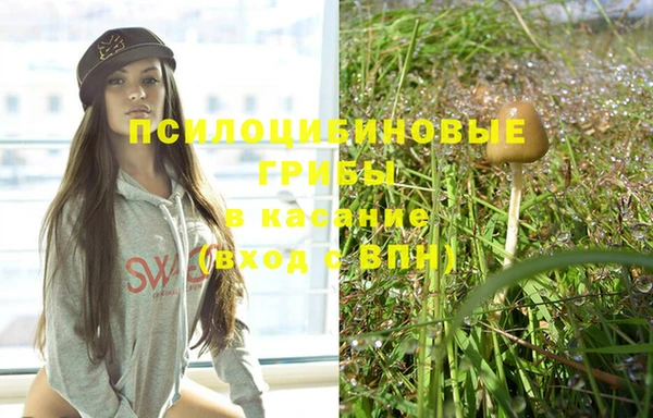 молекула духа Бородино