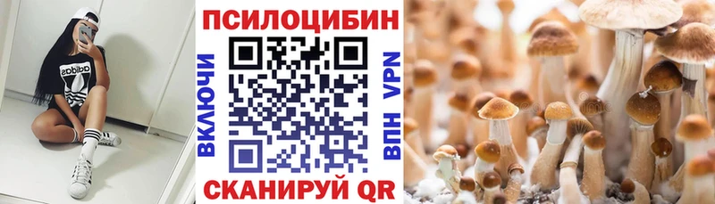 Галлюциногенные грибы мухоморы Кореновск